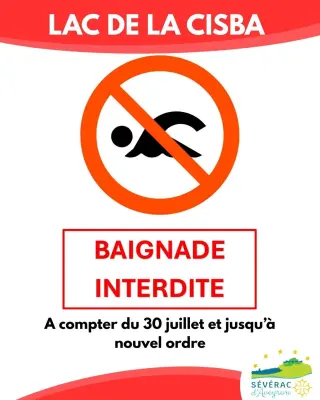 Photo du signalement 1