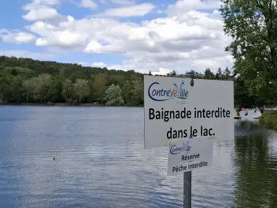 Photo du signalement 1