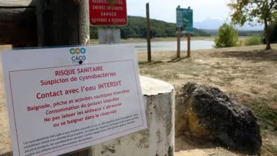 Photo du signalement 1